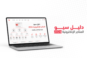سيو المتاجر الإلكترونية